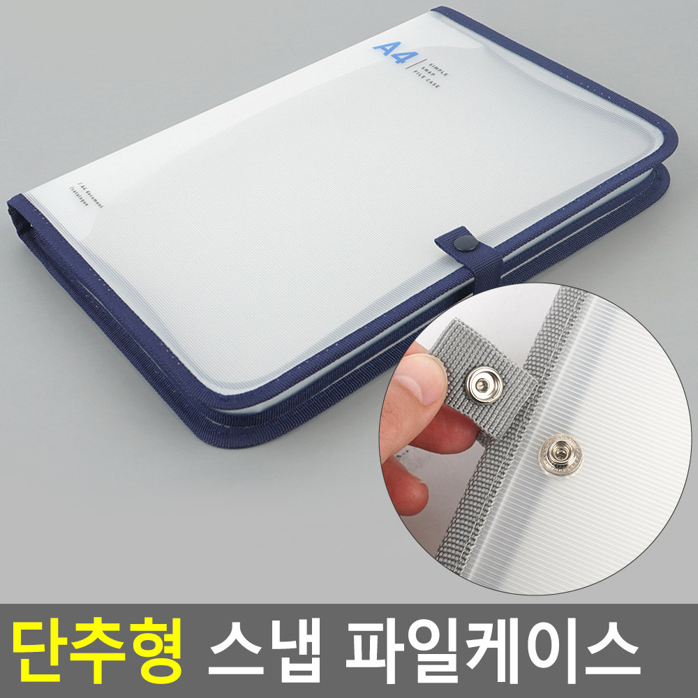 파일단추정리보관함 투명플라스틱 랜덤색상 1P