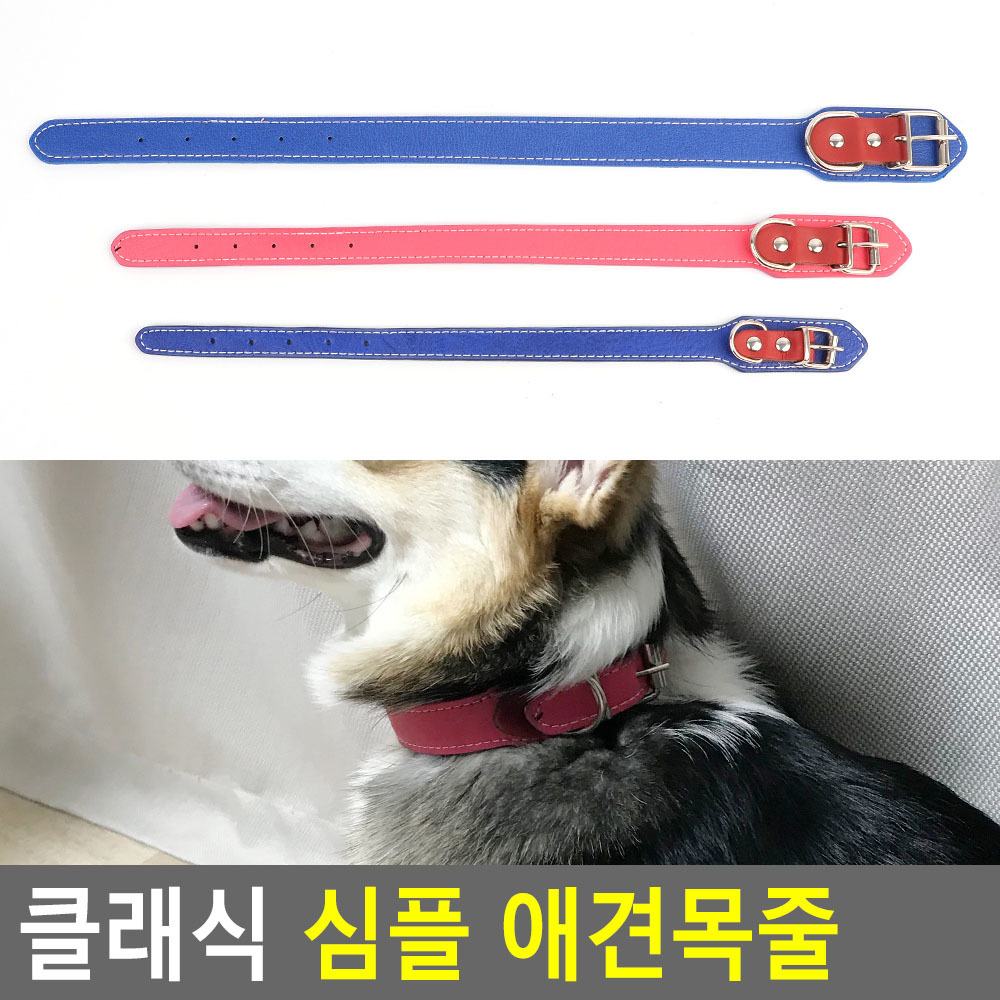 반려견단순목줄 랜덤색상 선택3종 소24-32cm 중27-35cm 대30-40cm 1P