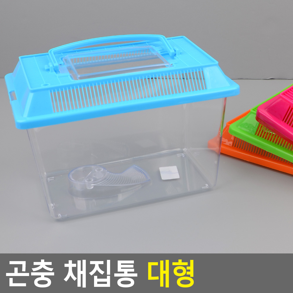 임시 어항 통 사각 물고기 열대어 아기금붕어 투명 플라스틱